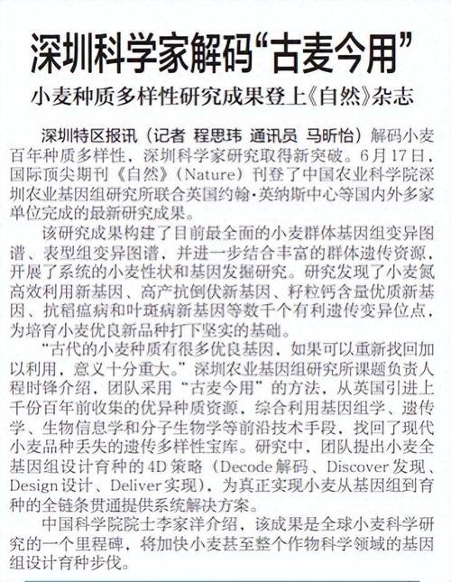 深圳科学家解码“古麦今用” 小麦种质多样性研究登顶《自然》杂志